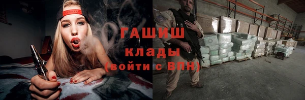 сатива Балахна