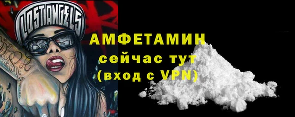 сатива Балахна