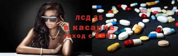 сатива Балахна