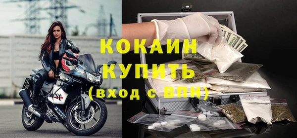 сатива Балахна