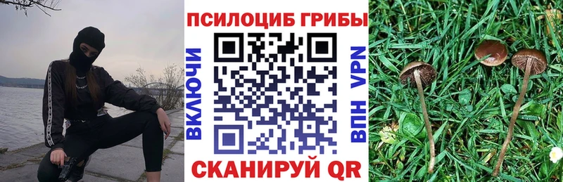Галлюциногенные грибы Psilocybe Муравленко