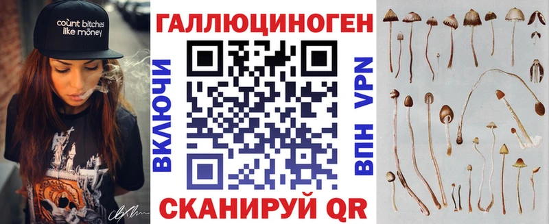 где можно купить наркотик  Муравленко  Псилоцибиновые грибы MAGIC MUSHROOMS 